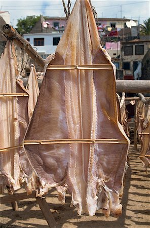 Cod drying, Camara de Lobos, Madeira, Portugal, Atlantic, Europe Stock Photo - Rights-Managed, Code: 841-02946586