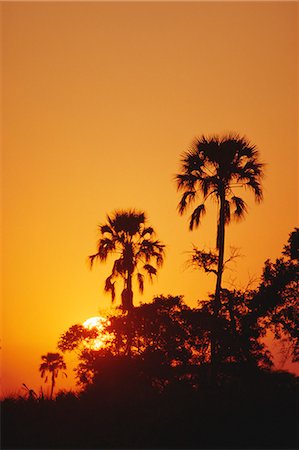 simsearch:841-03066465,k - Coucher du soleil, Delta de l'Okavango, au Botswana, Afrique Photographie de stock - Rights-Managed, Code: 841-02946702