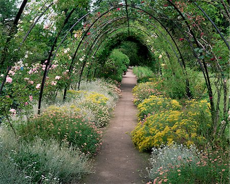 parc national grampian - Jardins, château de Crathes, Grampian, Scotland, Royaume-Uni, Europe Photographie de stock - Rights-Managed, Code: 841-02946722