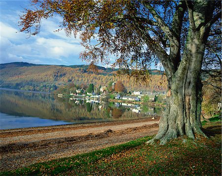 Loch Tay, Kenmore, Tayside, Highlands, Scotland, United Kingdom, Europe Stock Photo - Rights-Managed, Code: 841-02946723