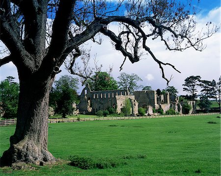 simsearch:841-02918168,k - Jervaux Abbey near Masham, North Yorkshire, Yorkshire, England, United Kingdom, Europe Stock Photo - Rights-Managed, Code: 841-02946740