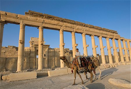 simsearch:841-03056632,k - Garçon à dos de chameau en face de la grande colonnade, Palmyre, UNESCO World Heritage Site, Syrie, Moyen-Orient Photographie de stock - Rights-Managed, Code: 841-02946867