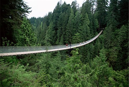 Capilano Suspension Bridge, Vancouver, British Columbia, Canada, North America Stock Photo - Rights-Managed, Code: 841-02946966