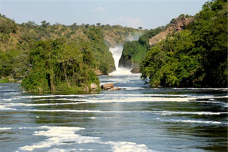 Murchison Falls, du Nil Victoria, Ouganda, Afrique de l'est, Afrique Photographie de stock - Rights-Managed, Code: 841-02943599