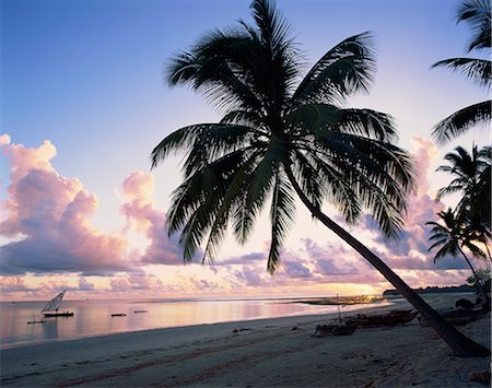 simsearch:841-03483718,k - Palm tree on tropical beach, with boats offshore, at dawn, in Tanzania, East Africa, Africa Foto de stock - Con derechos protegidos, Código: 841-02943700