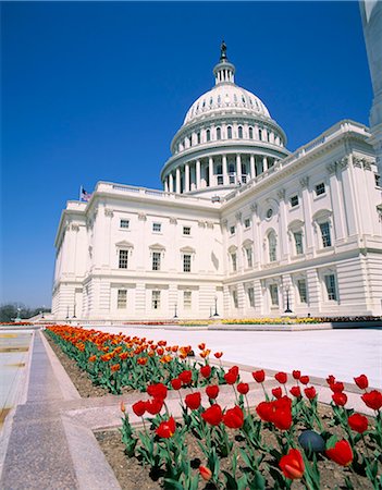 Capitol building, Washington DC, United States of America, North America Stock Photo - Rights-Managed, Code: 841-02943711