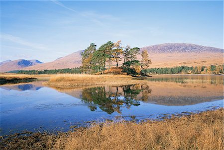 strathclyde - Loch Tulla, Strathclyde, Scotland, United Kingdom, Europe Foto de stock - Con derechos protegidos, Código: 841-02943778