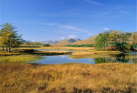 Loch Tulla, Strathclyde, Scotland, United Kingdom, Europe Stock Photo - Rights-Managed, Code: 841-02943782