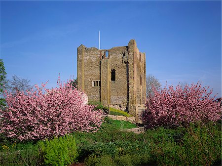 surrey - Guildford Castle, Surrey, England, United Kingdom, Europe Foto de stock - Con derechos protegidos, Código: 841-02943894