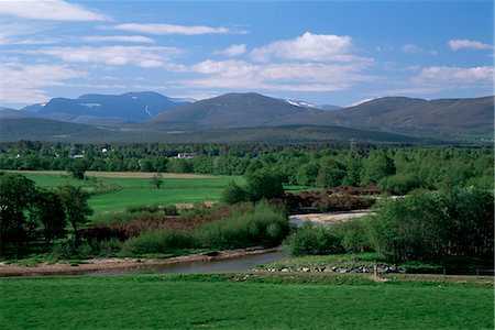 spey valley - Spey Valley and the Cairngorms, Highland region, Scotland, United Kingdom, Europe Stock Photo - Rights-Managed, Code: 841-02943949