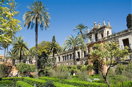 real alcazar - The gardens of the Real Alcazar, UNESCO World Heritage Site, Santa Cruz district, Seville, Andalusia (Andalucia), Spain, Europe Stock Photo - Rights-Managed, Code: 841-02994009