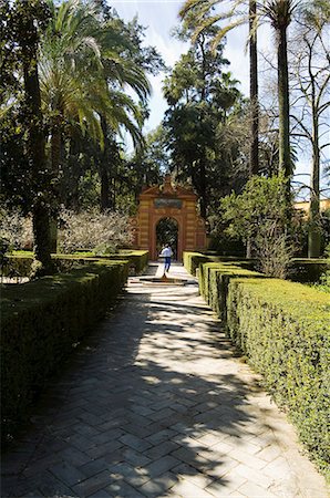 real alcazar - The gardens of the Real Alcazar, Santa Cruz district, Seville, Andalusia (Andalucia), Spain, Europe Stock Photo - Rights-Managed, Code: 841-02994002