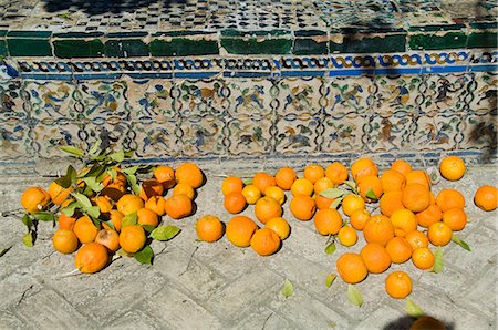 real alcazar - Ripe oranges removed from trees in the gardens of the Real Alcazar, Santa Cruz district, Seville, Andalusia (Andalucia), Spain, Europe Stock Photo - Rights-Managed, Code: 841-02994011