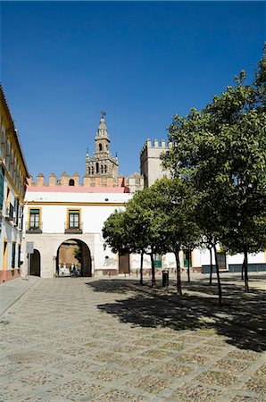 simsearch:841-02994007,k - Plaza juste en dehors de la sortie à l'Alcazar Real avec La Giralda en arrière-plan, le quartier de Santa Cruz, Séville, Andalousie (Andalucia), Espagne, Europe Photographie de stock - Rights-Managed, Code: 841-02994220