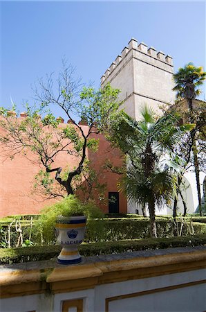 simsearch:841-02994007,k - Les jardins de l'Alcazar Real, le quartier de Santa Cruz, Séville, Andalousie (Andalucia), Espagne, Europe Photographie de stock - Rights-Managed, Code: 841-02994251