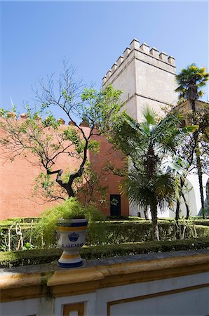 real alcazar - The gardens of the Real Alcazar, Santa Cruz district, Seville, Andalusia (Andalucia), Spain, Europe Stock Photo - Rights-Managed, Code: 841-02994251