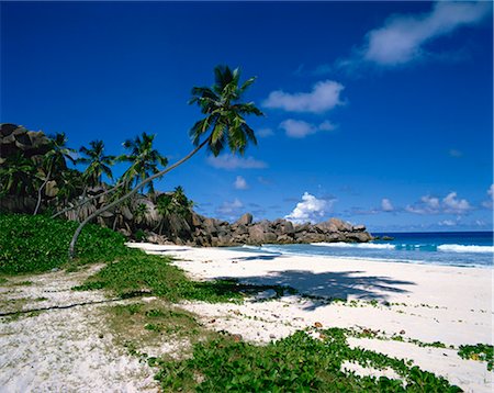 simsearch:841-03518376,k - Tropical coastline with eroded rock formation and palm trees, La Digue, Seychelles, Indian Ocean, Africa Foto de stock - Con derechos protegidos, Código: 841-02994320