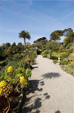 scilly - The Abbey Gardens, Tresco, Isles of Scilly, off Cornwall, United Kingdom, Europe Stock Photo - Rights-Managed, Code: 841-02994351