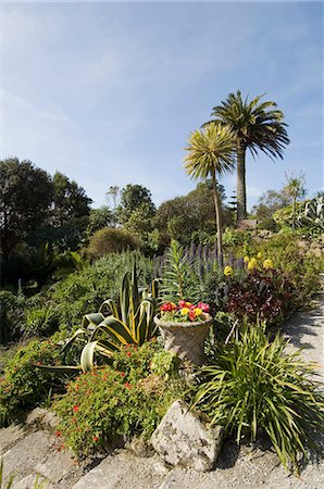 simsearch:841-07202163,k - The Abbey Gardens, Tresco, Isles of Scilly, off Cornwall, United Kingdom, Europe Foto de stock - Con derechos protegidos, Código: 841-02994366