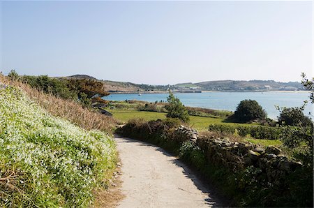 Bryer (Bryher), Isles of Scilly, off Cornwall, United Kingdom, Europe Stock Photo - Rights-Managed, Code: 841-02994385