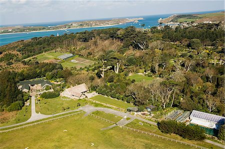 simsearch:841-02944736,k - View over Abbey Gardens from helicopter, Tresco, Isles of Scilly, off Cornwall, United Kingdom, Europe Fotografie stock - Rights-Managed, Codice: 841-02994489