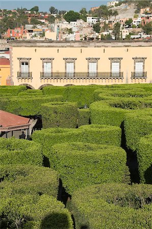 formschnitt - Jardin Principal, San Miguel de Allende (San Miguel), Bundesstaat Guanajuato, Mexiko, Nordamerika Stockbilder - Lizenzpflichtiges, Bildnummer: 841-02990603