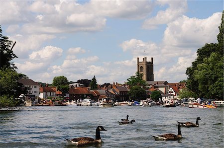 Henley on Thames, Oxfordshire, England, United Kingdom, Europe Foto de stock - Con derechos protegidos, Código: 841-02991224