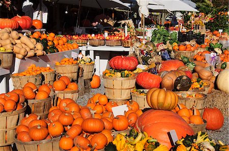 pumpkin - Pumpkins, The Hamptons, Long Island, New York State, United States of America, North America Stock Photo - Rights-Managed, Code: 841-02991271