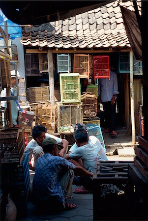 simsearch:851-02960487,k - Bird Market, Jogjakarta, Java, Indonesia, Southeast Asia, Asia Foto de stock - Con derechos protegidos, Código: 841-02991354