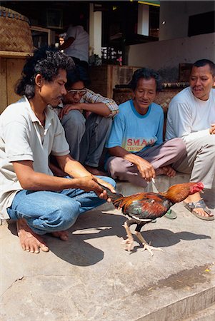 Bird Market, Jogjakarta, Java, Indonesia, Southeast Asia, Asia Stock Photo - Rights-Managed, Code: 841-02991353