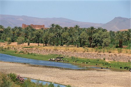 draa valley - A river in the Draa valley, mountains beyond, Morocco, North Africa, Africa Stock Photo - Rights-Managed, Code: 841-02991436
