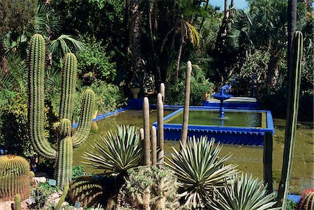 Cacti and fountain in the Majorelle Gardens, Marrakesh (Marrakech), Morocco, North Africa, Africa Stock Photo - Rights-Managed, Code: 841-02991433