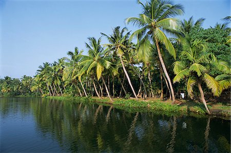 Scène typique de remous, voie d'eau bordée de palmiers, les canaux et les rivières sont utilisées comme routes, Kerala, Inde, Asie Photographie de stock - Rights-Managed, Code: 841-02991501