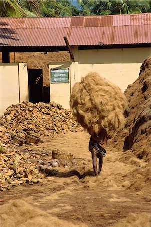 Man carrying dried copra obtained from coconut husks, Tamil Nadu state, India, Asia Foto de stock - Con derechos protegidos, Código: 841-02991518