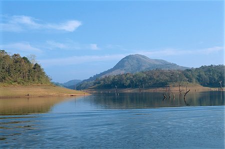 Periyar Wildlife Sanctuary, near Thekkady, Western Ghats, Kerala state, India, Asia Stock Photo - Rights-Managed, Code: 841-02991512