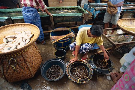 Fish market, Rantepao, Toraja area, Sulawesi, Indonesia, Southeast Asia, Asia Stock Photo - Rights-Managed, Code: 841-02991705