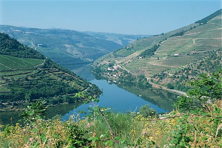 rivière douro - Vignobles près de Pinhao, Douro région, Portugal, Europe Photographie de stock - Rights-Managed, Code: 841-02991827