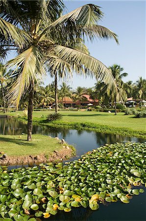 simsearch:841-02825847,k - The garden and golf course at the Leela Hotel, Mobor, Goa, India, Asia Fotografie stock - Rights-Managed, Codice: 841-02992241