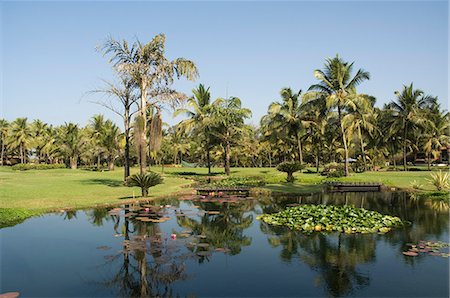 simsearch:841-02825423,k - Den Garten und den Golfplatz am Hotel Leela, Mobor, Goa, Indien, Asien Stockbilder - Lizenzpflichtiges, Bildnummer: 841-02992242