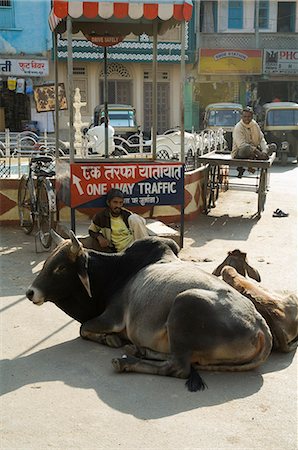 Holy cows on streets of Dungarpur, Rajasthan state, India, Asia Stock Photo - Rights-Managed, Code: 841-02992383