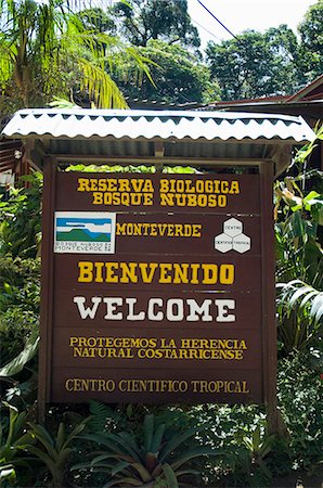 Monteverde Cloud Forest Reserve, Monteverde, Costa Rica, Amérique centrale Photographie de stock - Rights-Managed, Code: 841-02992539