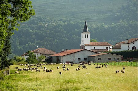Campagne près de St. Jean Pied de Port, Basque country, Pyrénées-Atlantiques, Aquitaine, France, Europe Photographie de stock - Rights-Managed, Code: 841-02992766