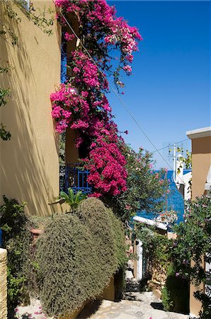 Assos, Kefalonia (Cephalonia), Ionian Islands, Greece, Europe Foto de stock - Con derechos protegidos, Código: 841-02992990