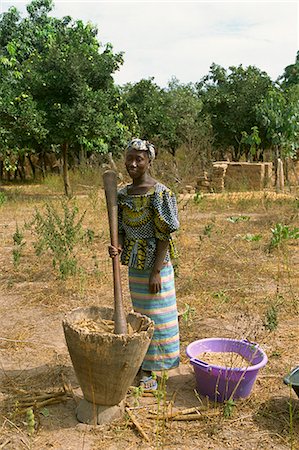 Pounding millet for flour, near Banjul, Gambia, West Africa, Africa Foto de stock - Con derechos protegidos, Código: 841-02993279