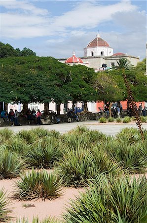 simsearch:841-02712110,k - Plantes Agave utilisés pour la fabrication de Mezcal, ville d'Oaxaca, Oaxaca, au Mexique, en Amérique du Nord Photographie de stock - Rights-Managed, Code: 841-02993388