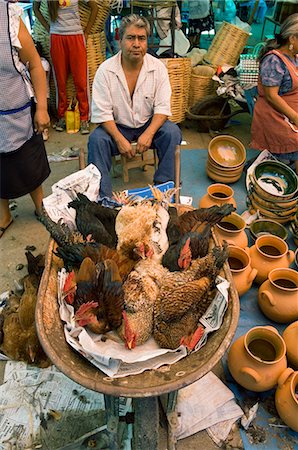 simsearch:841-03675106,k - Chickens for sale in the market, Zaachila, Oaxaca, Mexico, North America Fotografie stock - Rights-Managed, Codice: 841-02993469