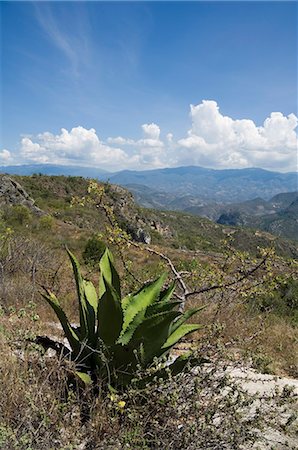 simsearch:841-02993508,k - Landscape near Hierve el Agua, Oaxaca, Mexico, North America Stock Photo - Rights-Managed, Code: 841-02993503