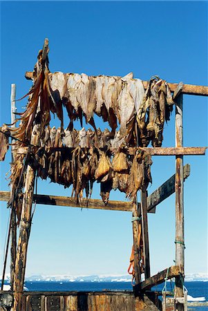 simsearch:841-03066571,k - Fish drying for huskies to eat in winter, Ilimanaq, Ilulissat, Disko Bay, Greenland, Polar Regions Foto de stock - Con derechos protegidos, Código: 841-02993564