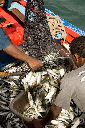 At the fish market, Mindelo, Sao Vicente, Cape Verde Islands, Africa Stock Photo - Rights-Managed, Code: 841-02993633