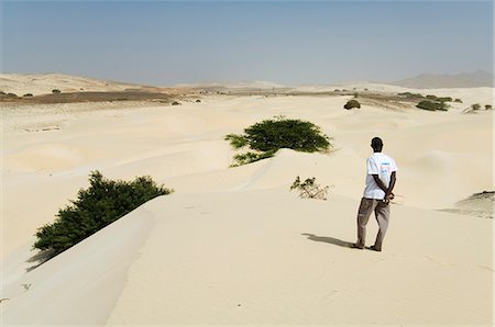 simsearch:841-02915841,k - Désert et les dunes de sable au milieu des îles de Boa Vista, Cap-vert, Afrique Photographie de stock - Rights-Managed, Code: 841-02993655